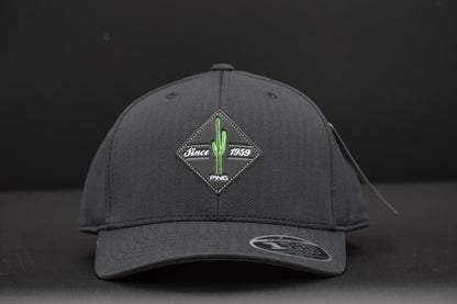 PING CACTUS PATCH CAP